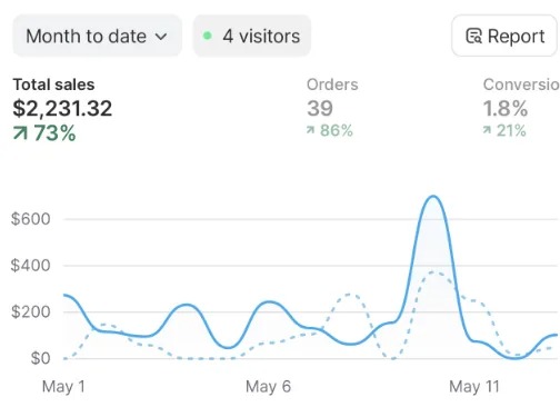 Ecommerce dashboard showing revenue and ROAS